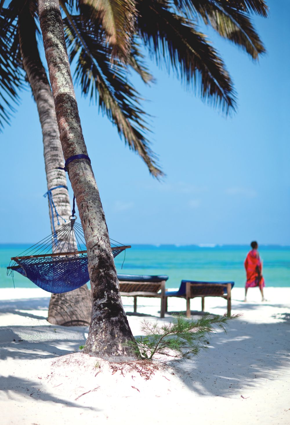 vakantie zanzibar vakantie zanzibar boeken met vip selection